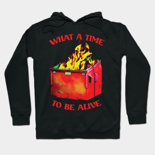 -What A Time To Be Alive- Hoodie